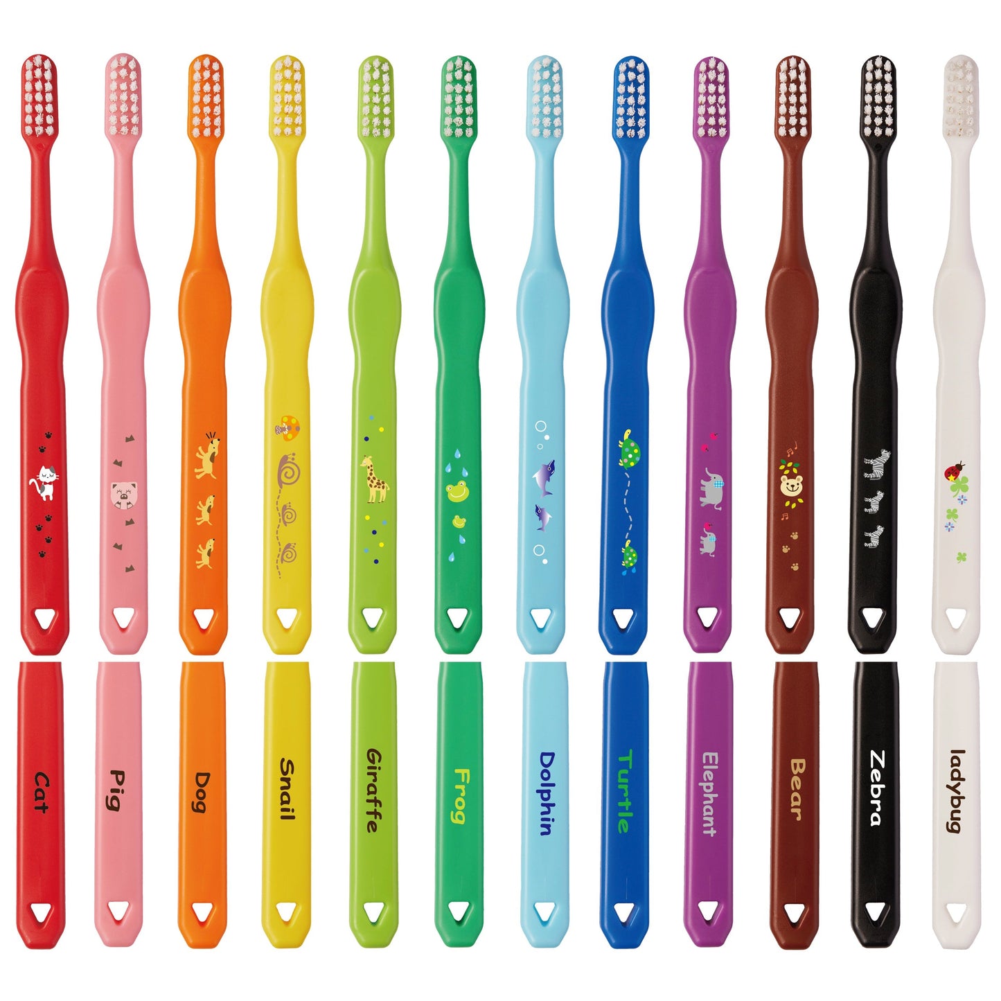 LAPIS Happy Colour Toothbrush for Junior (Pack of 12)